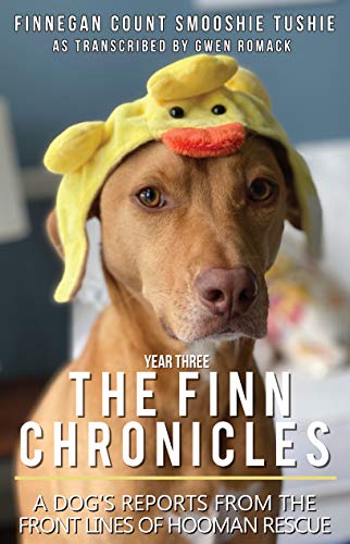 The Finn Chronicles: Year Three
