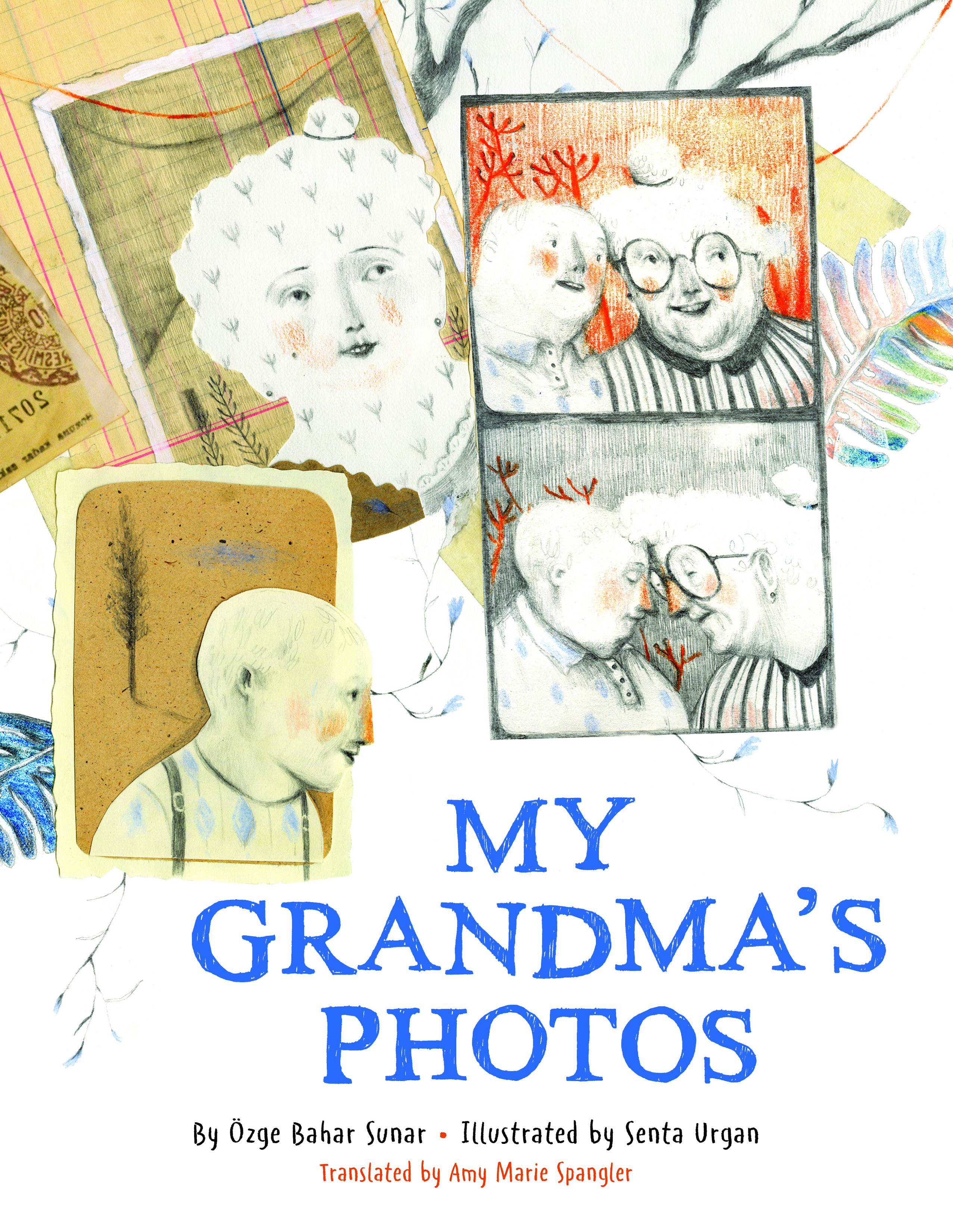 My Grandma's Photos (Hardcover)