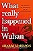 What Really Happened in Wuhan: The Cover-Ups, the Conspiracies and the Classified Research