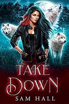 Take Down (Reach for the Moon, #3)