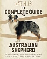 The Complete Guide To Australian Shepherd All You Need To Know About From Puppy Training To