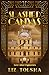 Slashed Canvas (Ever After Mysteries, #8)