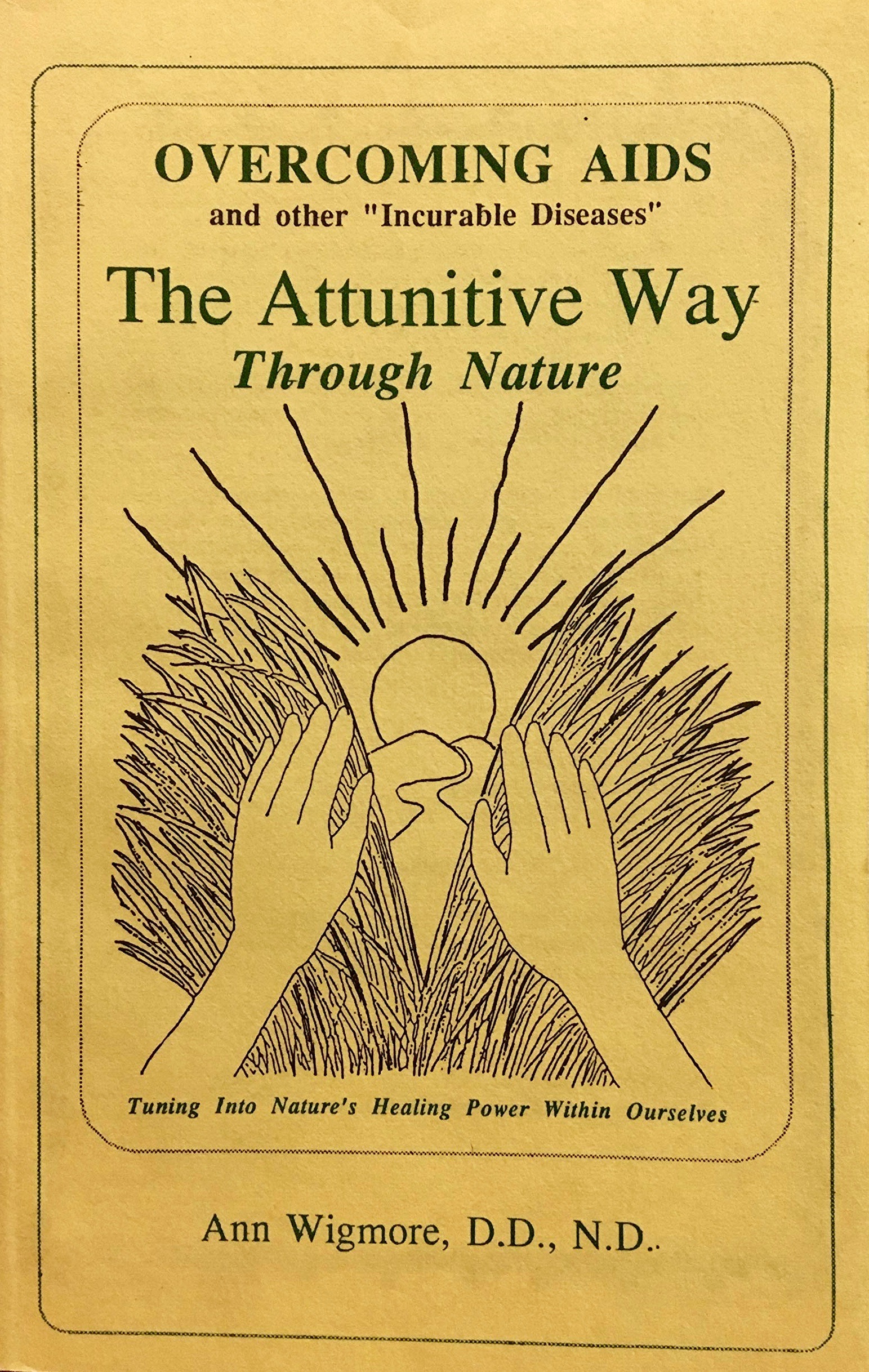 Overcoming AIDS and other "incurable diseases" the attunitive way through nature (Hardcover)