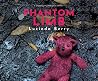 Phantom Limb