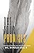 The Four Promises: A Journe...