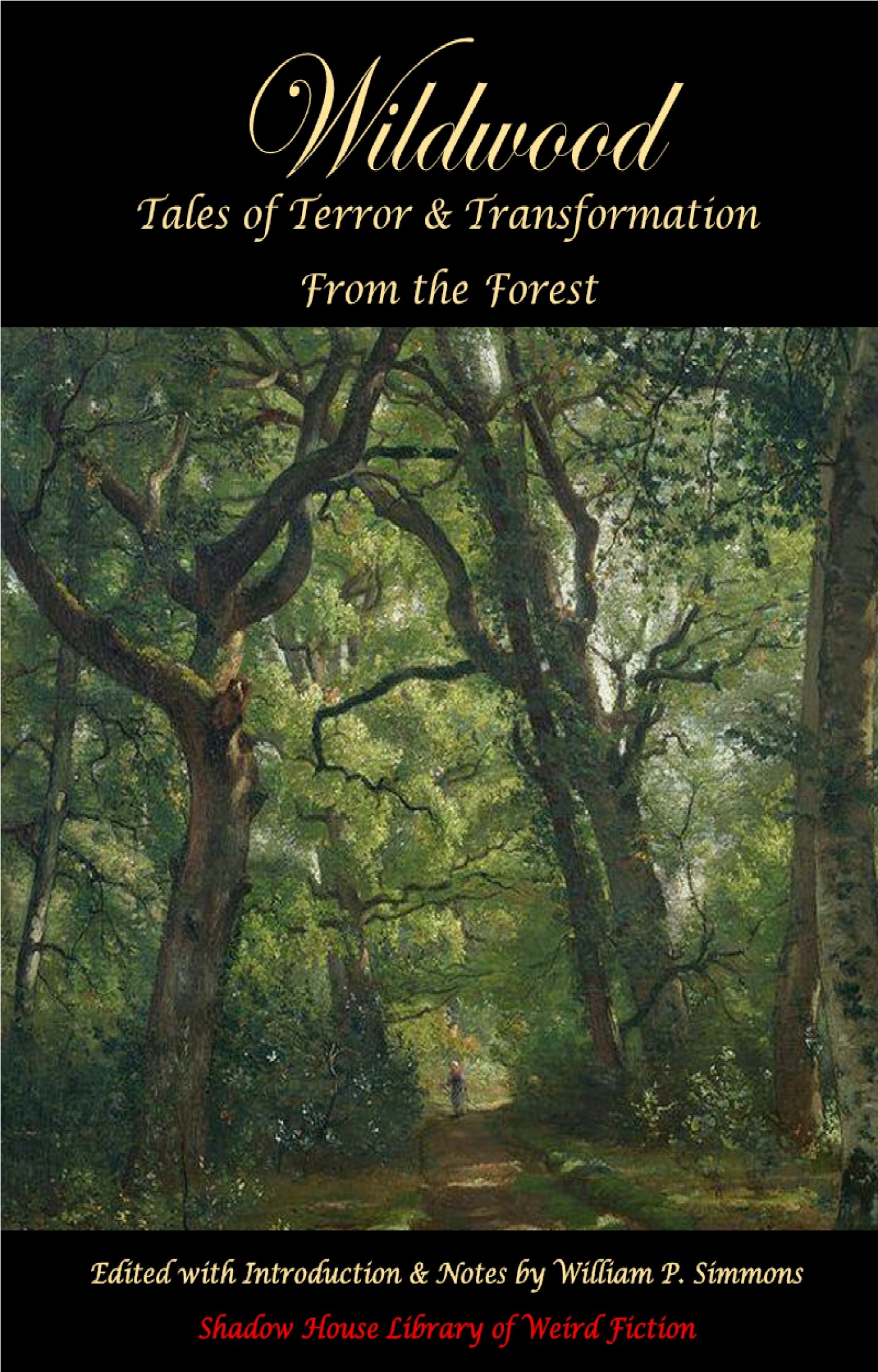 Wildwood: Tales of Terror and Transformation From the Forest
