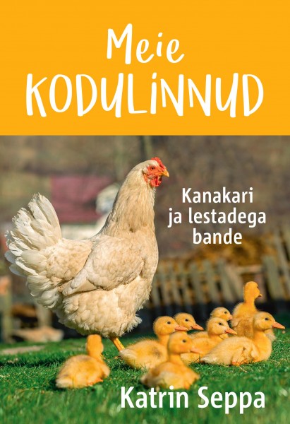 Meie kodulinnud (Paperback)