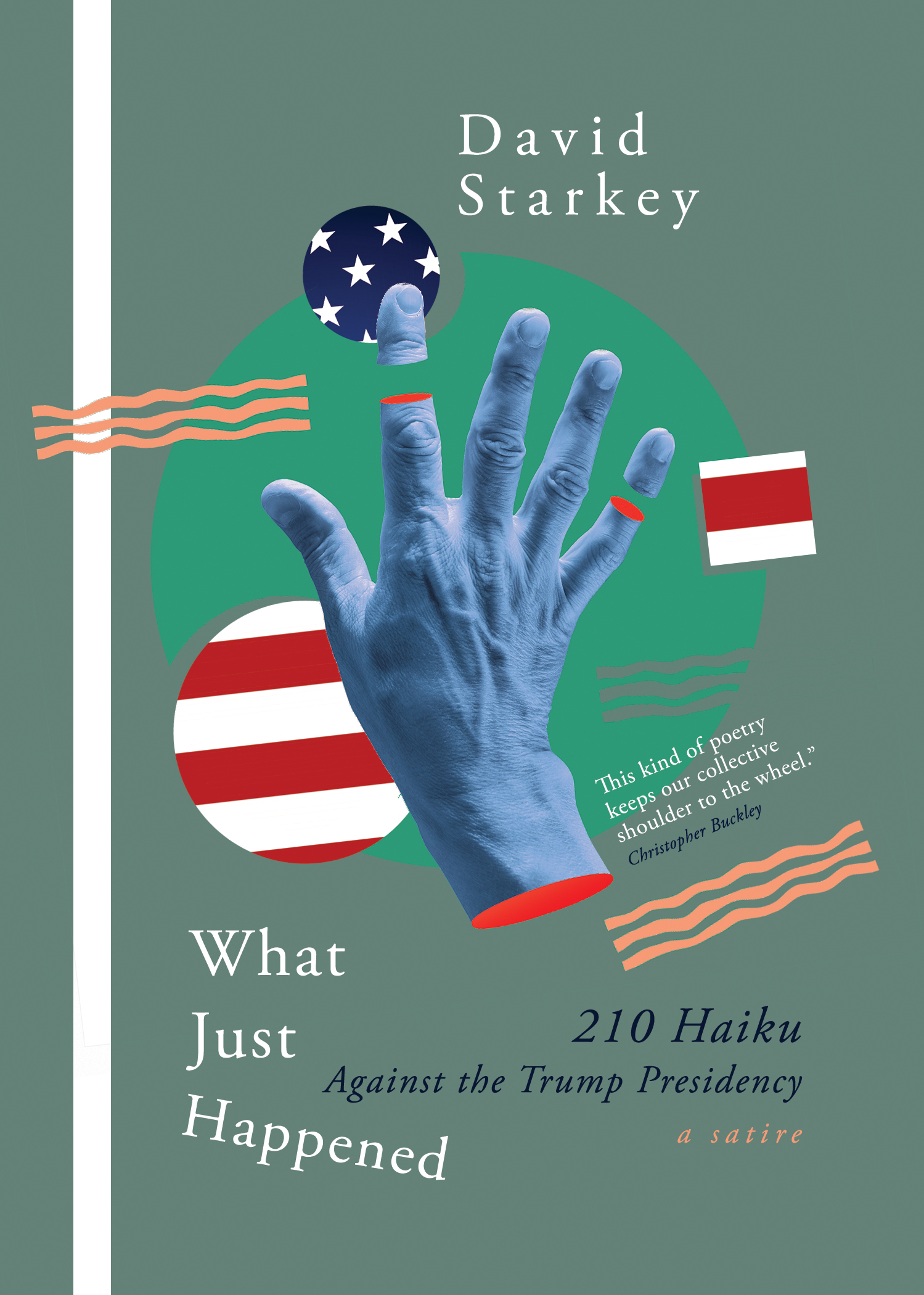 What Just Happened: 210 Haiku Against the Trump Presidency
