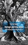 ככה בדיוק קרה
