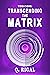 Vibrations: Transcending The Matrix