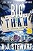 Big Thaw (Miami Jones Private Investigator Mystery)