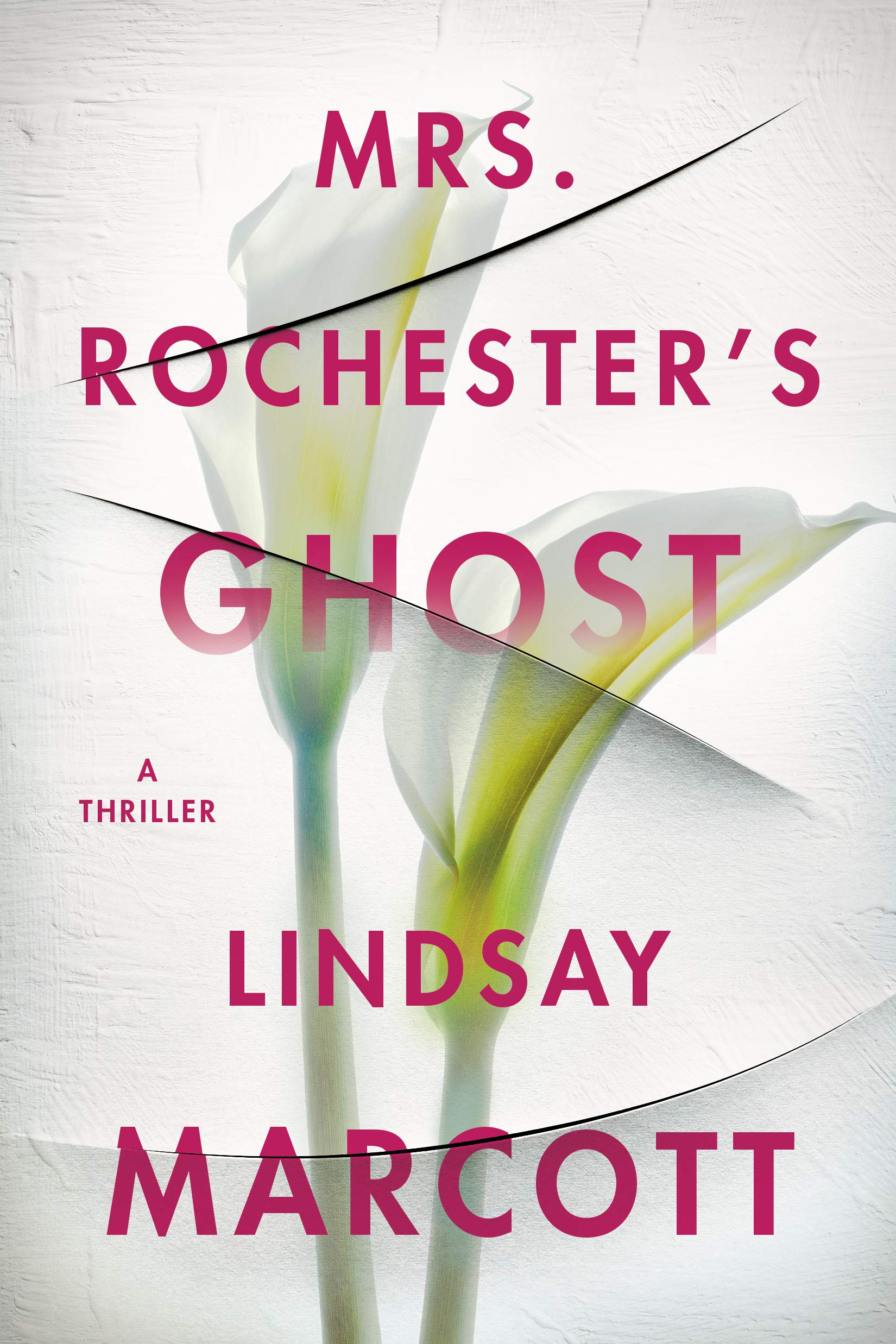 Mrs. Rochester's Ghost (Kindle Edition)