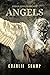 Angels: A Biblical School o...