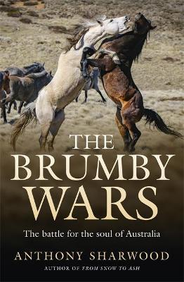 The Brumby Wars (Paperback)
