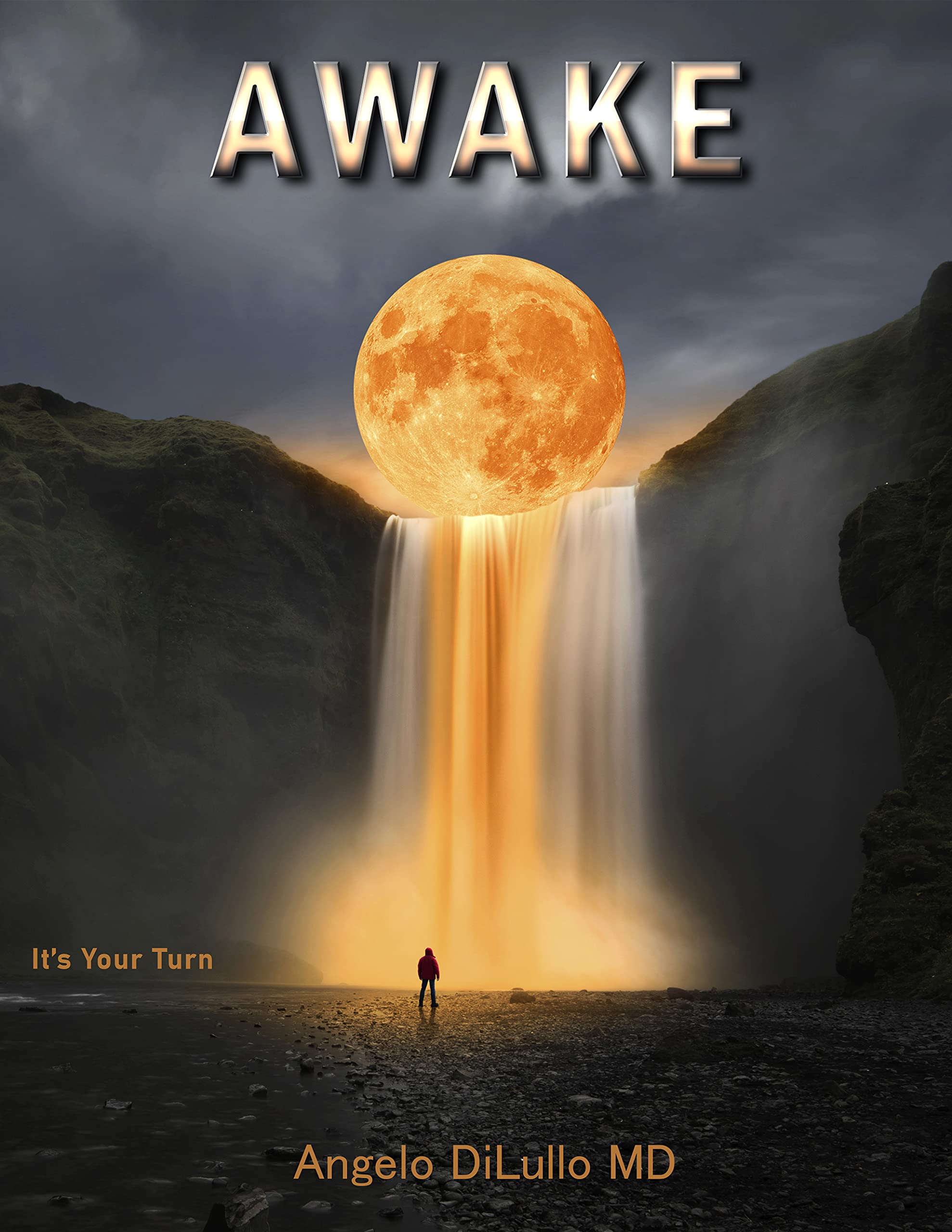 Awake: It's Your Turn (Kindle Edition)