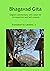Bhagavad Gita - English Com...