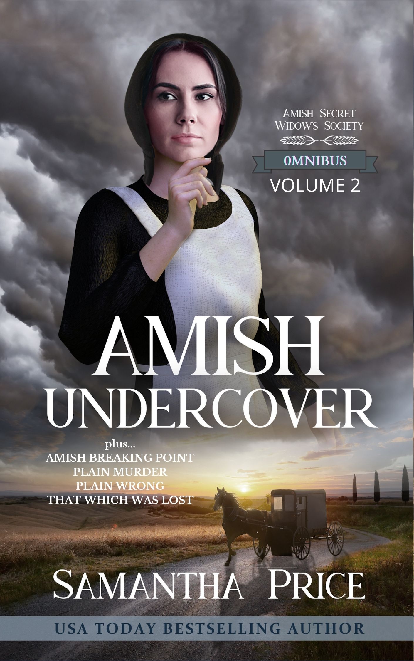 Amish Cozy Mysteries: 5 Books-in-1: Amish Undercover, Amish Breaking Point, Plain Murder, Plain Wrong, That Which Was Lost (Paperback)