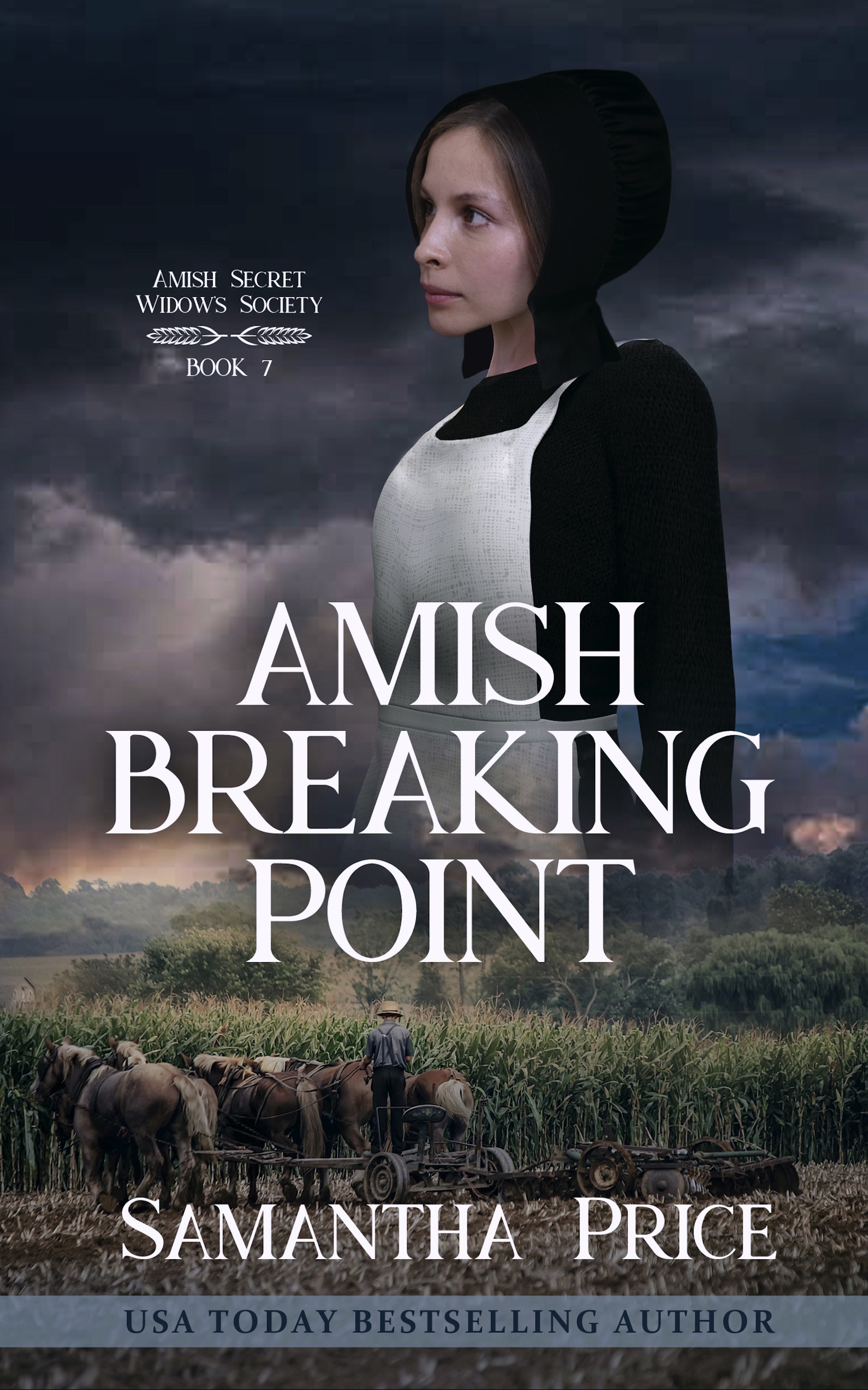 Amish Breaking Point (Amish Secret Widows' Society, #7)