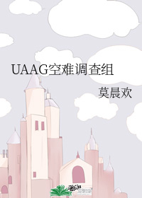 UAAG空难调查组 UAAG Kong Nan Diao Cha Zu