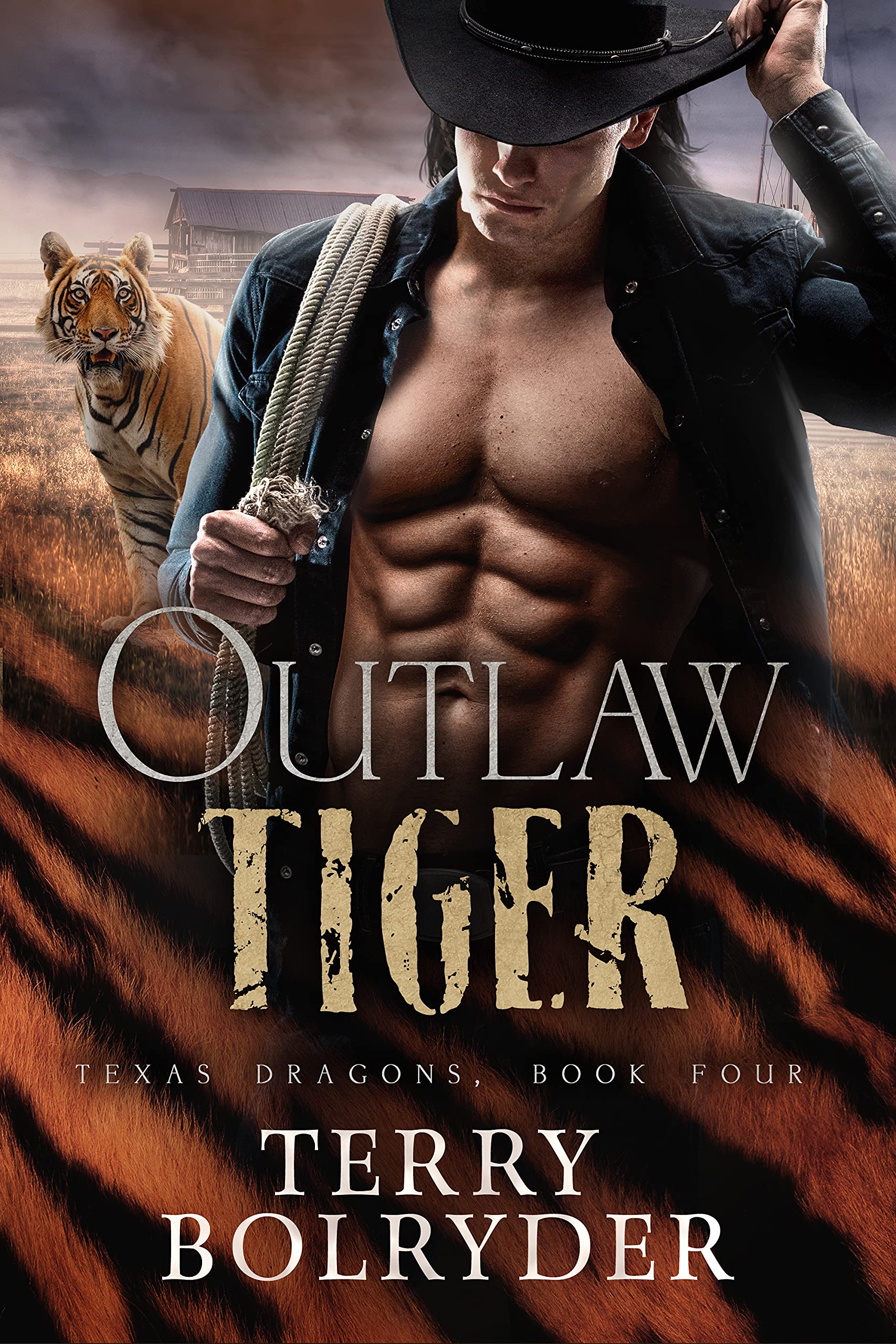 Outlaw Tiger (Texas Dragons, #4)