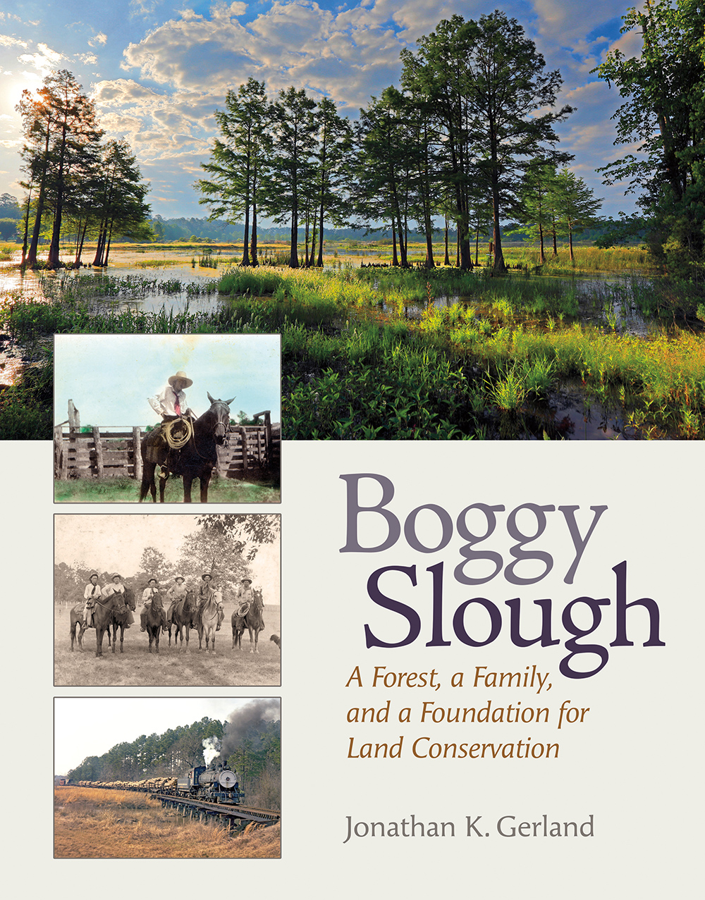 Boggy Slough: A Forest, a Family, and a Foundation for Land Conservation (Myrna and David K. Langford Books on Working Lands)