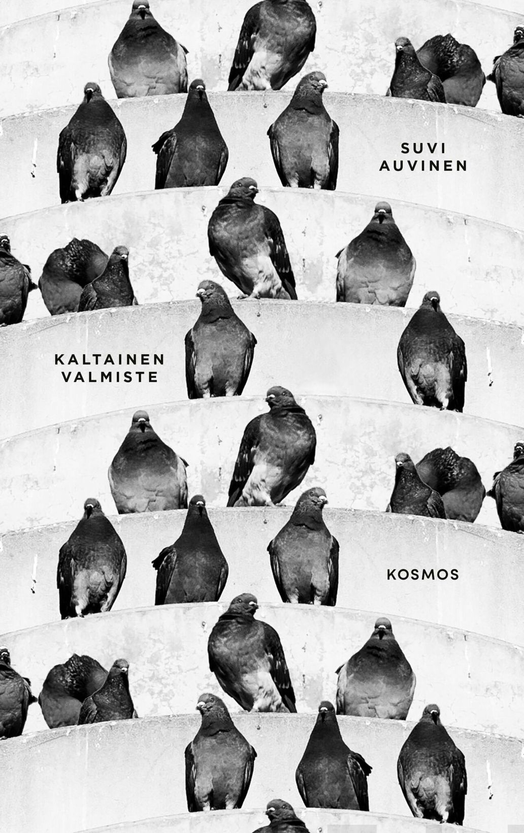 Kaltainen valmiste (Hardcover)