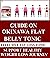 Guide On Okinawa Flat Belly...
