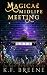 Magical Midlife Meeting (Leveling Up, #5)