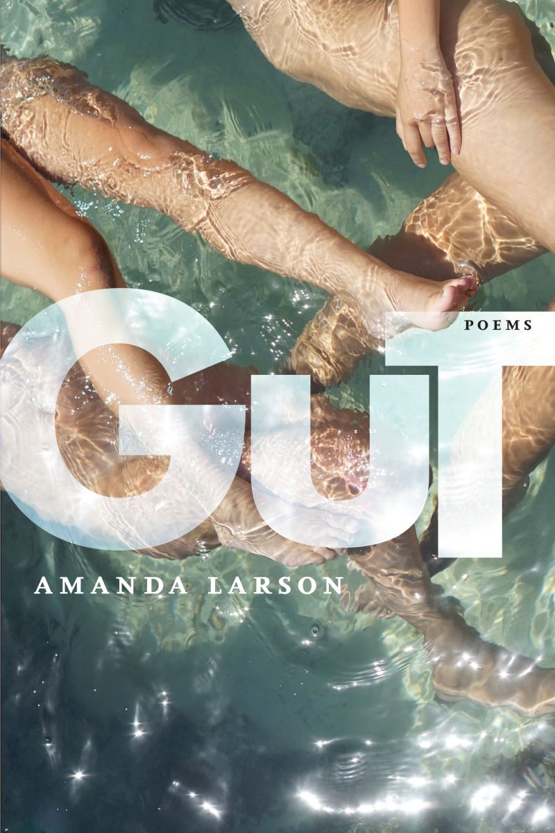 Gut (Paperback)