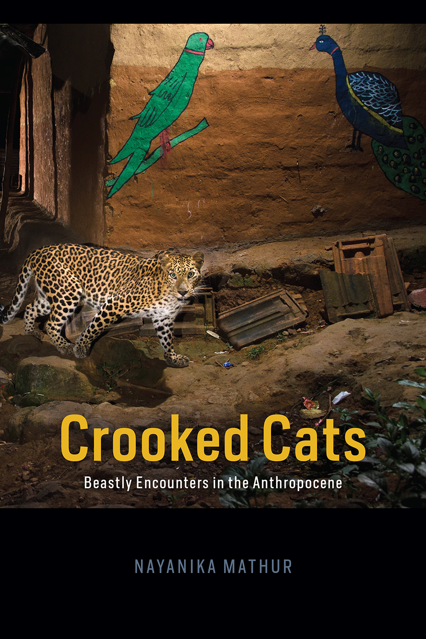 Crooked Cats: Beastly Encounters in the Anthropocene (Animal Lives)