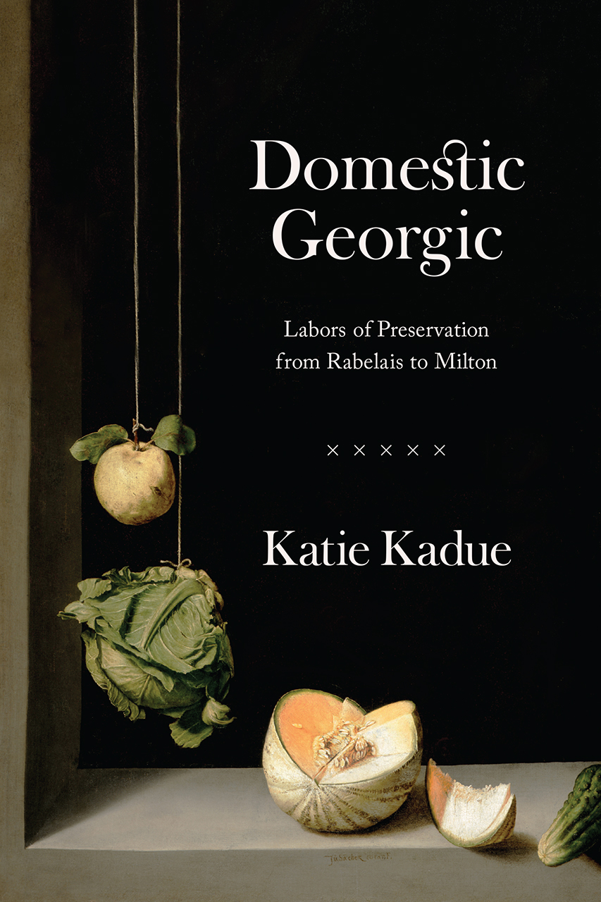 Domestic Georgic: Labors of Preservation from Rabelais to Milton (Paperback)