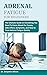 ADRENAL FATIGUE FOR BEGINNE...