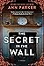 The Secret in the Wall