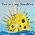 You are my Sunshine: The sk...