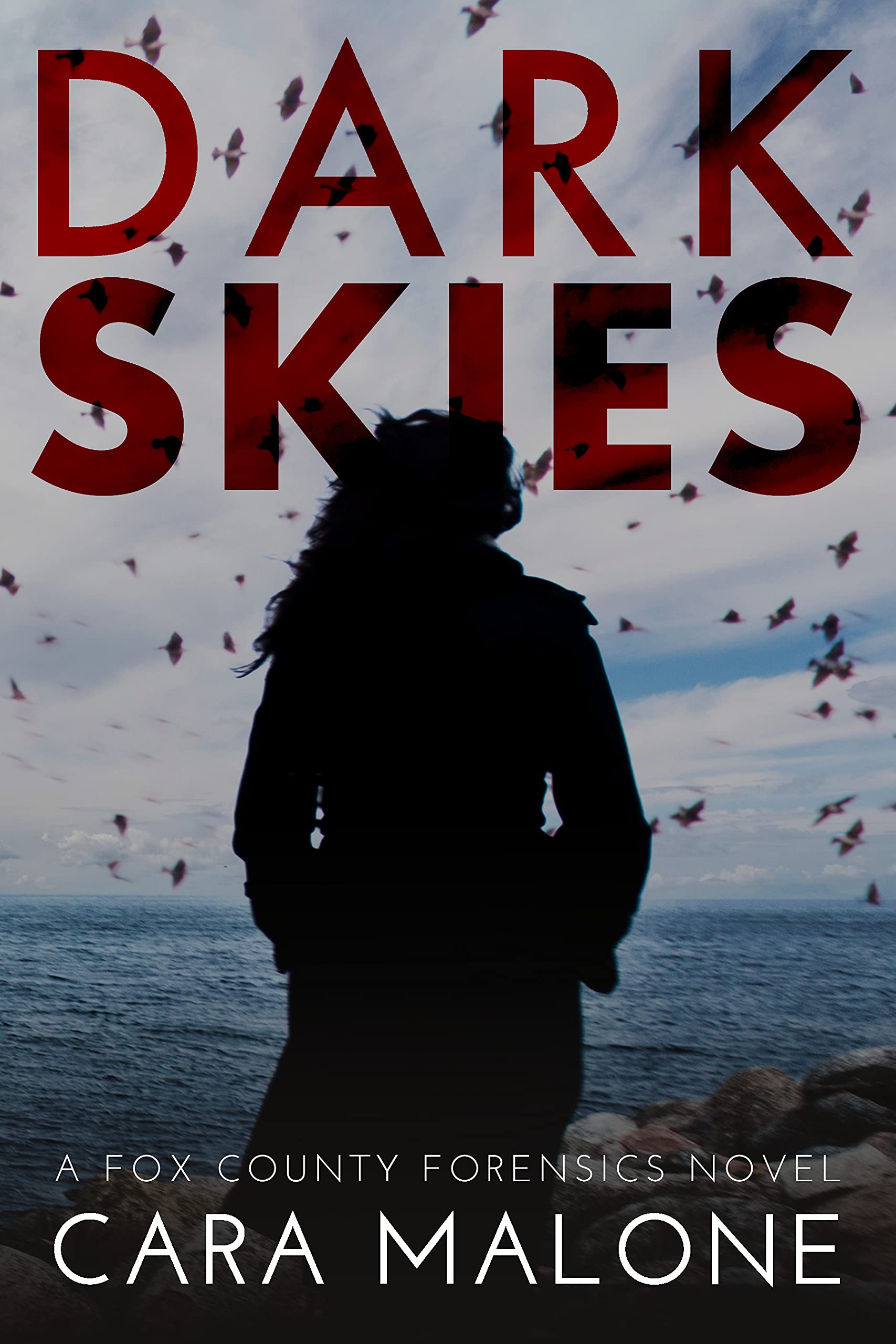 Dark Skies (Fox County Forensics, #3)