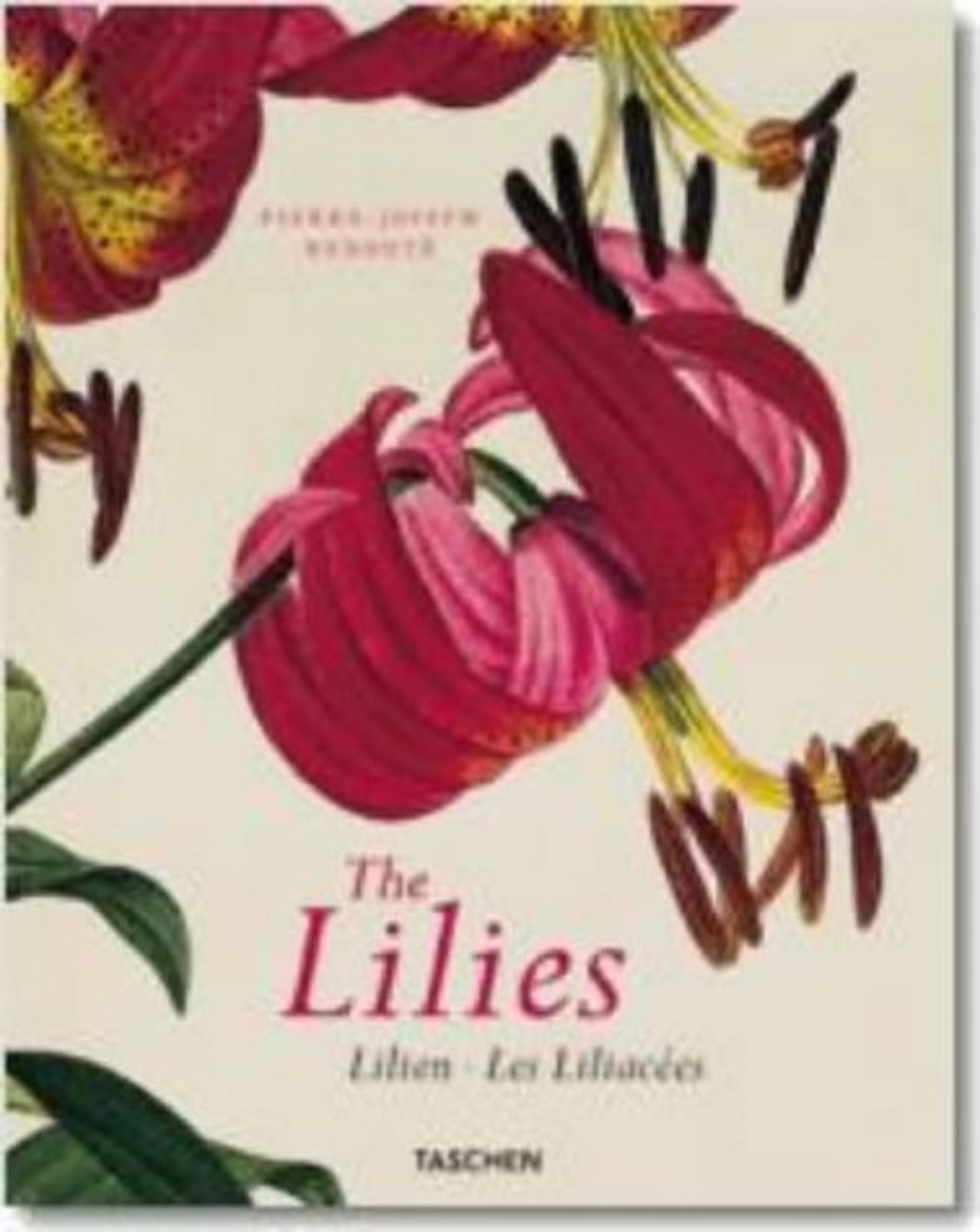 The Lilies = Lilien = Les Liliacées (Hardcover)