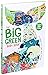Big Green Busy Book (Big Busy Books)