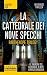 La cattedrale dei nove specchi. Parthenope trilogy