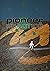 Pioneer Practice