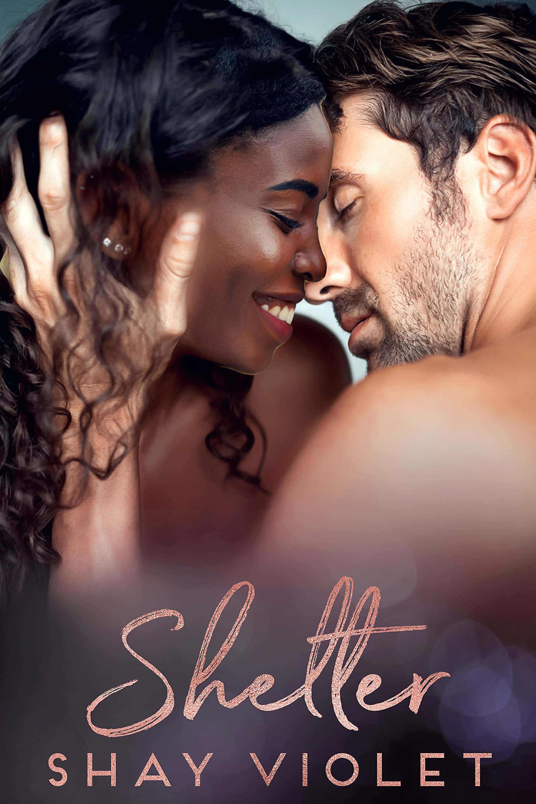 Shelter (Kindle Edition)