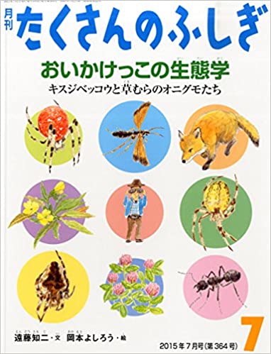 おいかけっこの生態学―キスジベッコウと草むらのオニグモたち (たくさんのふしぎ2015年7月号)