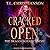 Cracked Open (Dragon Born Academy, #1)