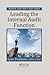 Leading the Internal Audit Function (Security, Audit and Leadership Series)