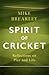 Spirit of Cricket: Reflecti...