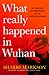 What Really Happened in Wuhan: The Cover-Ups, the Conspiracies and the Classified Research