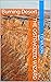 Burning Desert (The Ostraci...