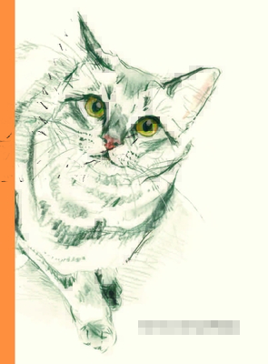 The Book of Cat Poems (Hardcover)