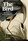 The Bird by Philip   Kennedy