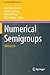 Numerical Semigroups: IMNS ...