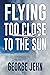 Flying Too Close to the Sun by George Jehn